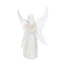 Only Love Remains Fairy Figurine by Anne Stokes Angel Ornament 26cm 5