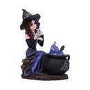 Alvina Witch Figurine with Owl and Cauldron 16cm 4
