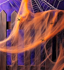 50 G Orange Spiderweb With 3 Spiders