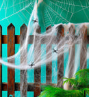 50 G White Spiderweb With 3 Spiders