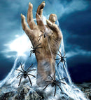 500 G White Spiderweb With 20 Spiders