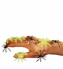 6 Spiders Glow In The Dark And Black Ass.