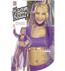 Harem Beauty  Top, Shirt With Vest, Pants, Headpiece With Veil 