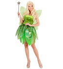 Forest Fairy  Dress, Wings 
