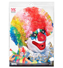 Curly Wig Clown - In Polybag