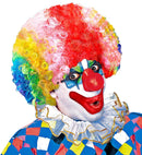 Curly Wig Clown - In Polybag