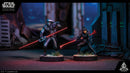 Star Wars: Legion Fifth Brother and Seventh Sister Operative Expansion - Tabletop Miniatures Game, Strategy Game for Kids and Adults, Ages 14+, 2 Players, 3 Hour Playtime, Made by Atomic Mass Games