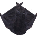 Winged Watcher Bat Trinket Holder Jewellery Dish 24.1cm 8