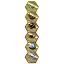 Heroscape Glyph Pack Miniature Game by Renegade Studio 6