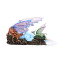 Dreamer Fairy and Dragon Ornament 34.5cm 4