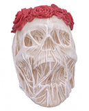 The Veil Skull Large 14.7cm 3