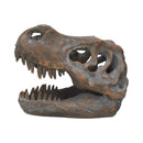 Freestanding Tyrannosaurus Rex Skull Figurine Ornament 16cm 5