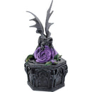 Dragon Beauty Valentine Box 25cm by Anne Stokes 6