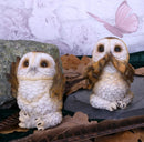 Three Wise Brown Owls 7.5cm 2