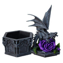 Dragon Beauty Valentine Box 25cm by Anne Stokes 4