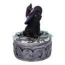 Ivy Familiar Box 15cm 6