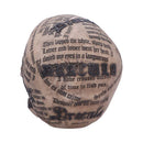 Draculas Tale Vampire Novel Quote Skull 18.5cm 3