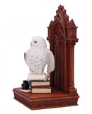 The Scribes Companion Enchanting Owl Ornament Scribes 23.5cm 3