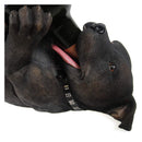Staffordshire Bull Terrier Dog Guzzler Wine Bottle Holder Guzzlers 25cm 5