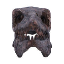 Archaeopteryx Skull Decorative Resin Replica 18cm 2