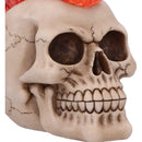 Hot-Headed Decorative Resin Skull Flame Mohawk 19cm 5
