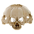 Atrocity Natural Bone Skull and Spine Lamp 37.5cm 2