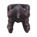 Archaeopteryx Skull Decorative Resin Replica 18cm 4