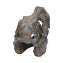 Freestanding Tyrannosaurus Rex Skull Figurine Ornament 16cm 3
