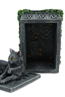 Fortunes Watcher Cat Familiar Tarot Box Fortunes 17cm 7