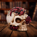 Rose Flame Decorative Skull With Sleeping Dragon 14.5cm 7