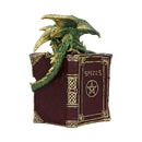 Hoard Finders Dragon with Book Crystal Figurine 20.8cm 4