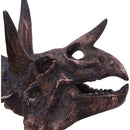 Triceratops Skull Resin Replica 14.5cm 5