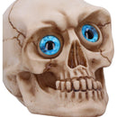 Eyes Wide Open Blue Decorative Resin Skull 12cm 5