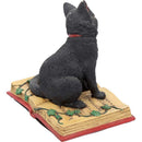 Eclipse Cat Spell Book Figurine Wiccan Witch Gothic Ornament 12cm 6