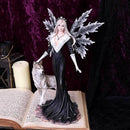 Dark Aura Fairy With Her Grey Wolf Companion 24cm 6