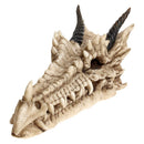 Draco Dragon Skull Incense Holder 24cm 2