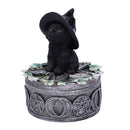 Ivy Familiar Box 15cm 3