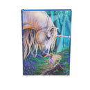 Lisa Parker Fairy Whispers Journal 17cm 2
