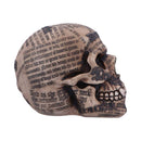 Draculas Tale Vampire Novel Quote Skull 18.5cm 4