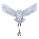 Awaken your Magic Owl Pentagram Wall Plaque 45cm 2