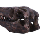 Archaeopteryx Skull Decorative Resin Replica 18cm 6