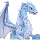 Safira The Protector Resin Dragon Figurine 17.5cm 5