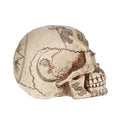Voodoo Spirits Commune Skull 20cm 6