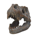 Freestanding Tyrannosaurus Rex Skull Figurine Ornament 16cm 6