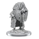 Wereravens D and D Nolzurs Marvelous Unpainted Miniatures W19 Miniature Game by Wiz Kids 3