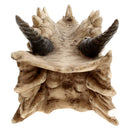 Draco Dragon Skull Incense Holder 24cm 5