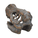 Freestanding Tyrannosaurus Rex Skull Figurine Ornament 16cm 4
