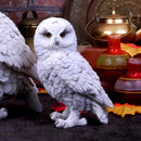 Snowy Watch Small White Owl Ornament 13.3cm 5
