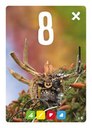 Bombyx | Pixies | Card Game | Ages 8+ | 2-5 Players | 30 Minutes Playing Time