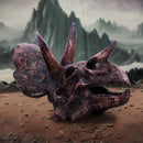 Triceratops Skull Resin Replica 14.5cm 7